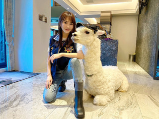 網紅偕羊駝萌寵新北出任務  暑假青少年安全宣導