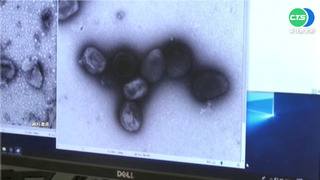 全球猴痘病例激增 世衛籲男同志減少性伴侶人數