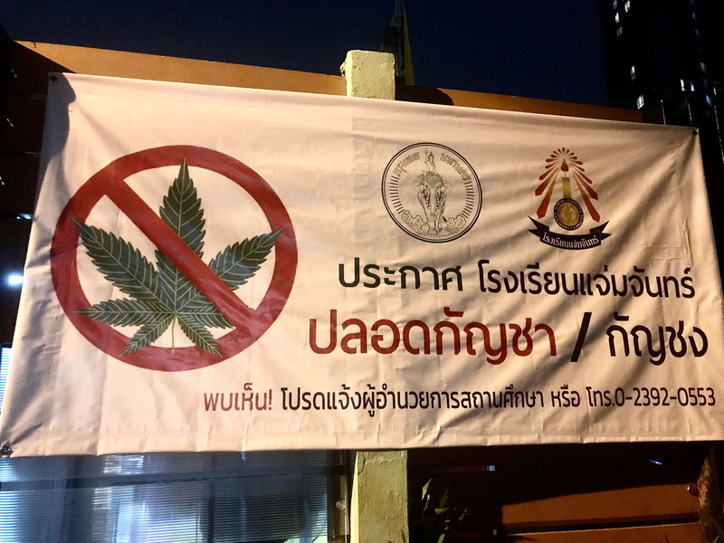 泰國大麻合法化缺法令配套 狀況混亂醫界憂心 | 華視新聞