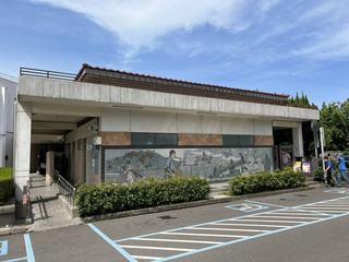 國道泰安服務區偷拍狼現蹤 警逮1男送辦