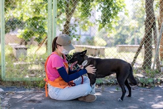 迎重陽 高市收容所毛孩將赴仁愛之家陪伴長輩