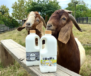 高雄壽山動物園公布開園主視覺 推聯名鮮乳、T恤