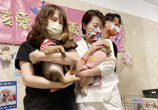 響應世界動物日 陳時中：提打造寵物公園等政見