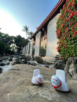 赤崁樓前神獸「贔屭」Q版卡通化 上市開賣