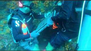 潛水客澎湖失聯百日 家屬在海底立碑留念