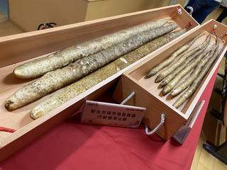 新北原生種山藥盛產  秋天滋補料理正當時