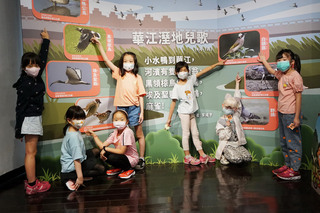 北市鄉土教育中心辦展  解密華江濕地前世今生