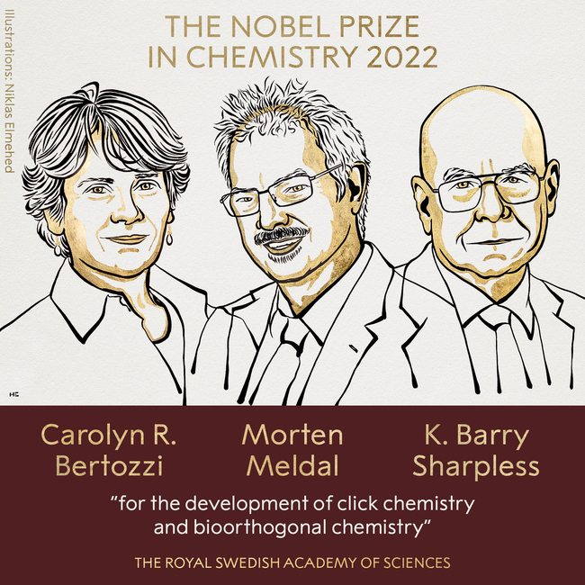 點擊與生物正交化學成就 3學者共獲諾貝爾化學獎 | 華視新聞