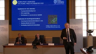 2022諾貝爾化學獎授予點擊化學研究 貢獻藥物發展