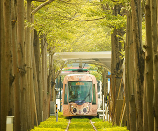 高雄輕軌「龍貓隧道」遊客搶拍越軌 警首開罰單