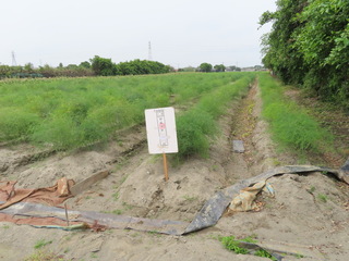 男子拒酒測被罰18萬 不繳罰鍰百萬土地被查封