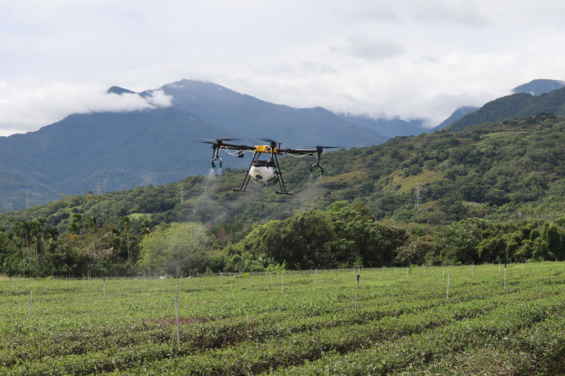 花蓮舞鶴茶區應用科技 農噴無人機解人力荒 | 華視新聞