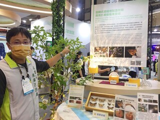 避蛾燈趕走吸果夜蛾  水蜜桃減產不到5%