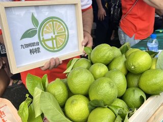 屏東九如檸檬均價每斤30元 農會：30年來最平穩