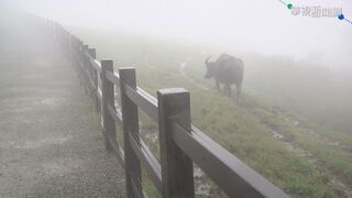 擎天崗累積雨量624毫米  18日北台灣僅19度
