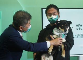 寵物政見 陳時中：建立長照體系、終養不棄養