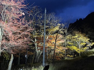 迎台灣旅客春節造訪  北海道冰瀑祭提前開放