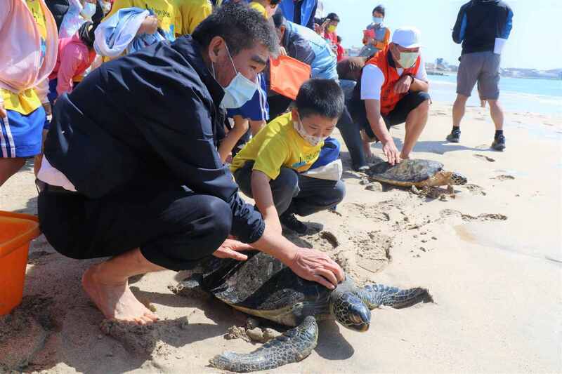 澎湖野放8隻保育海龜  國小師生參與 | 華視新聞