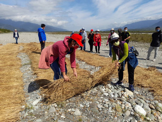 防制河川揚塵  台東加入稻草蓆覆蓋工法創3贏