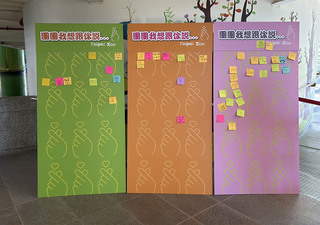 大貓熊團團預後差不考慮見客  盼民眾留言祝福