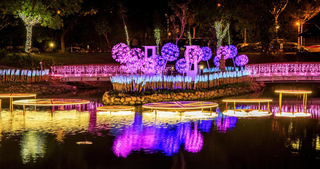 新竹縣光藝節作品荷田雅韻  紐約設計大獎奪銀