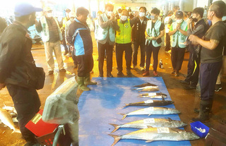 澎湖縣長選戰  藍陣營砲火互轟綠跑基層