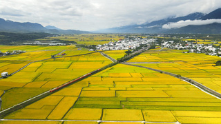 金馬導演記錄池上農民面容 致敬在地耕耘夢想家