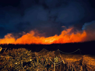 澎湖2起火燒野草 警消在強風中搶救