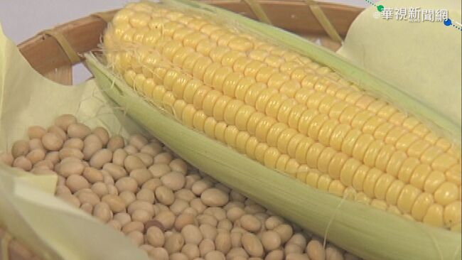 糧價攀升加持 飼料玉米推動10年有成已近達標 | 華視新聞