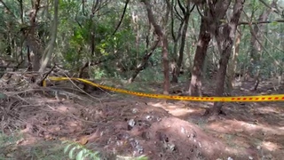 台南防風林男屍疑遭野狗啃食 四肢僅剩右腳完整