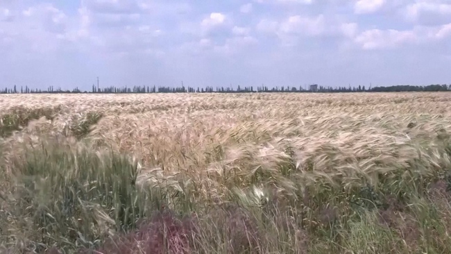 俄羅斯同意重返穀物出口協議 基輔擬設上千供暖點 | 華視新聞