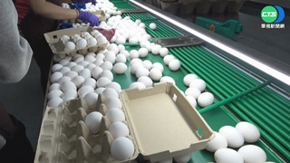 送雞蛋禮盒、請吃桌菜 南投地檢署查獲涉賄選案