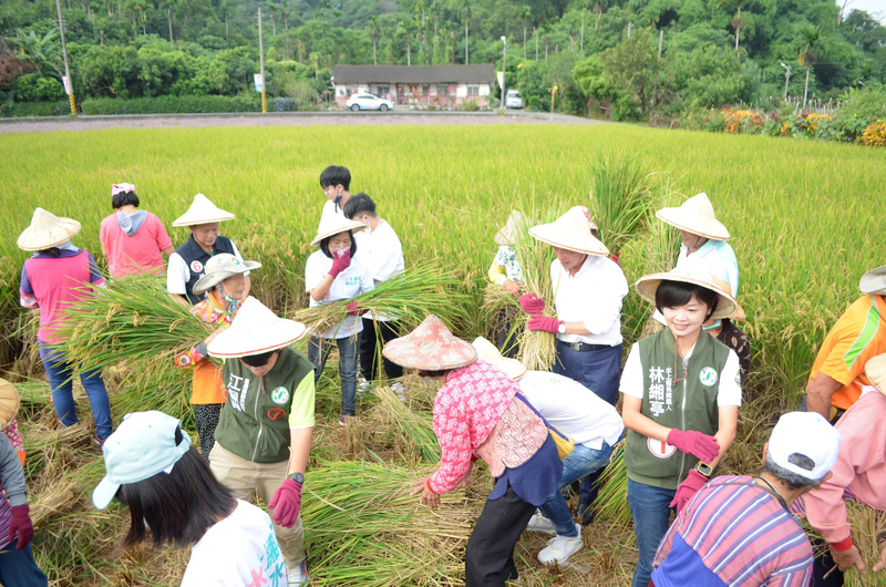 草草築藝草飛颺活動  再現嘉縣三界埔農務文化 | 華視新聞