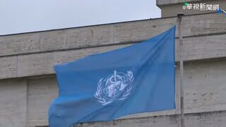 世衛：歐洲逾1萬5000人死於2022高溫 德國最慘重