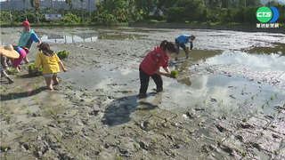 農遊券600元倍數等額贈將送光  6178份待搶