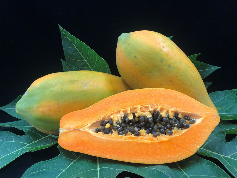 番木瓜新品種「小寶」產量高 搭配管理助農藥減量 | 華視新聞