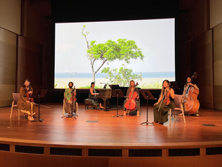 帶著高雄的樹到美國 台灣藝術家要觀眾做白日夢