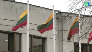 強化自衛能力  立陶宛將購美製海馬士多管火箭