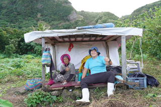 大學特殊選才再創新高  55校釋出1558名額