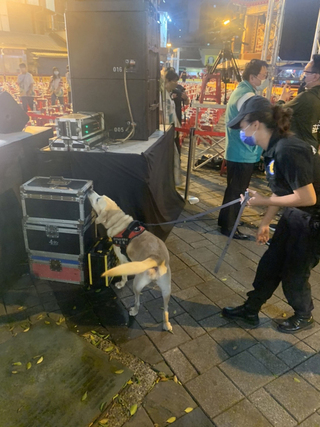 淨化選前治安  中市警出動警犬隊偵蒐爆裂物