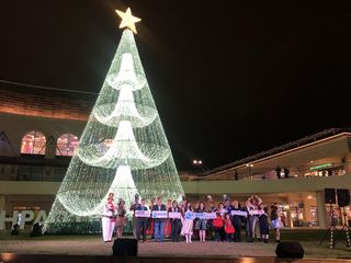 麗寶樂園渡假區耶誕樹點燈  公益路跑散播愛