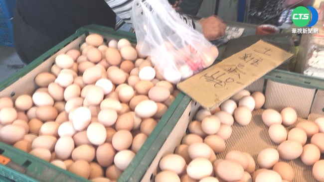 蛋價高漲  農委會：普查2000雞場確保供應無虞 | 華視新聞
