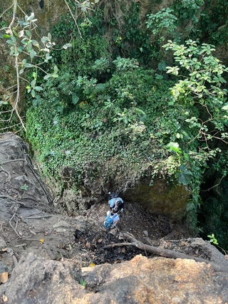 2女相約爬高雄壽山迷路 受困山邊求援獲救