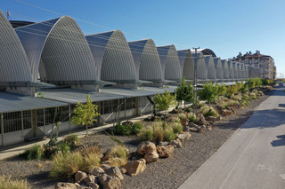 土耳其台灣中心結合科技及人道  推公益NFT