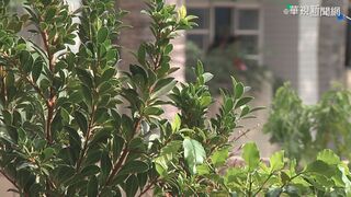 諶立中高樓自殺說  兒少代表闖兒童公約會議抗議