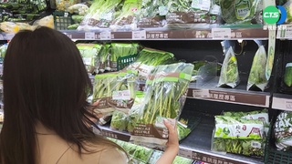 接近入冬產量恢復  菜價回穩擺脫高價區