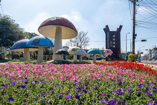 台中國際花毯節12/3登場  花卉妝點新社山城