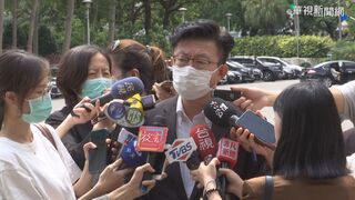 藍批執政無能籲下架民進黨  綠委：捕風捉影
