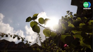 11月還好熱  南投、台南35.6度