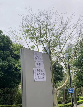 德智庫：中國防疫示威將暫時消失 不滿情緒可能擴大